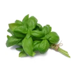 HUILE ESSENTIELLE BASILIC