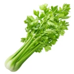 HUILE ESSENTIELLE CELERI