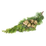 HUILE ESSENTIELLE CYPRES