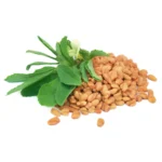 MACÉRAT DE FENUGREC