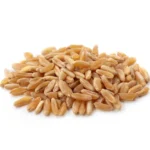 HUILE DE GERME DE BLÈ BRUTE