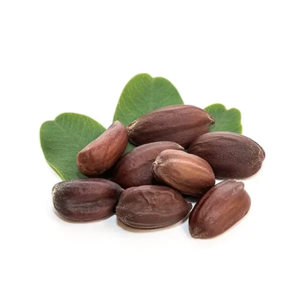 HUILE DE JOJOBA