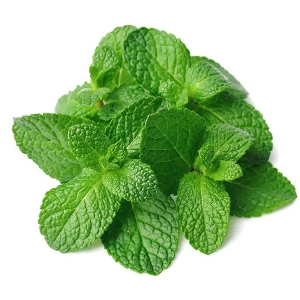 HUILE ESSENTIELLE MENTHE ARVENSIS