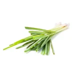 HUILE ESSENTIELLE PALMAROSA