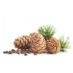 HUILE ESSENTIELLE PIN