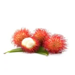 HUILE DE RICIN BRUTE