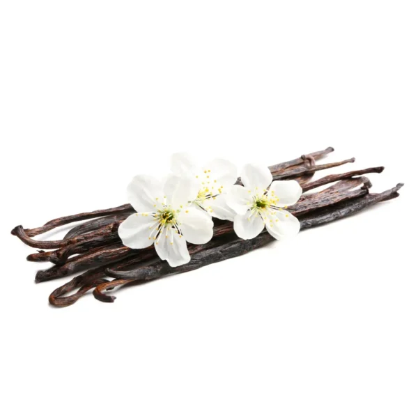 AROME DE VANILLE CLASSIQUE